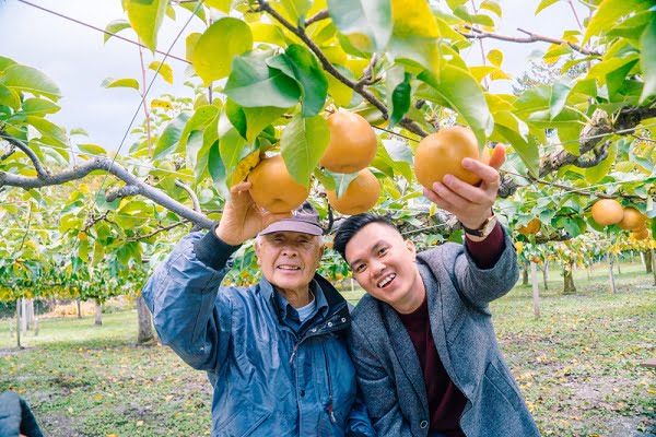 Nằm mơ thấy trái cây có ý nghĩa gì? Tôi nên đặt cược vào con số nào trong xổ số? - Ngày âm lịch