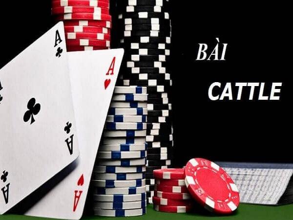 Thang Tung và Thăng Trang ở Catte có gì khác biệt? - Gamebai88