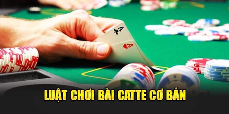 Luật Đánh Bài Catte: Hướng Dẫn Chi Tiết và Quy Tắc Cơ Bản | 789WIN